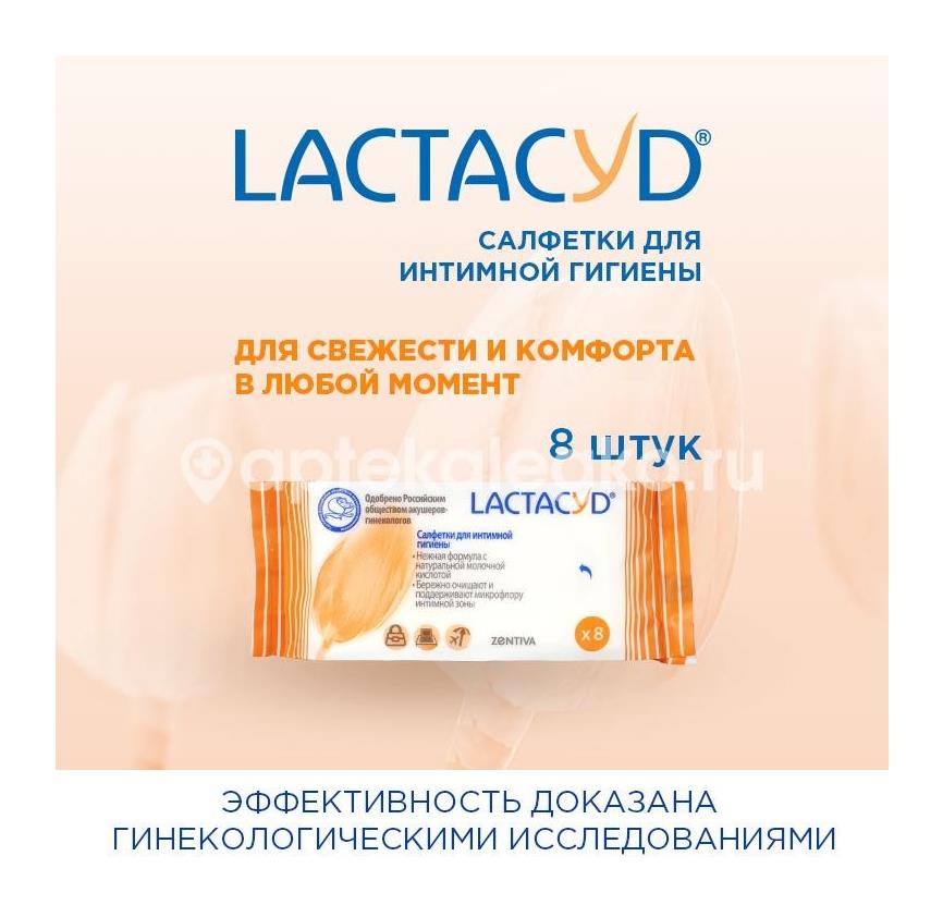 Лактацид салфетки для интим. гигиены №8 (фемина) [lactacyd] - 2