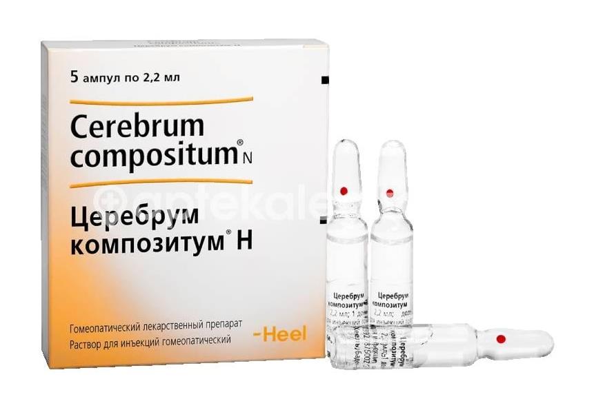 Церебрум композитум н 5шт. гомеопатический раствор для инъекций 2,2мл. ампула - 2